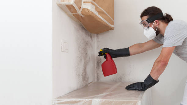 Professional Mold Testing technician working in Mantoloking, NJ