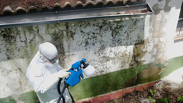 Trusted Bathroom Mold Removal service in Mantoloking, NJ - Cheap Mold Removal
